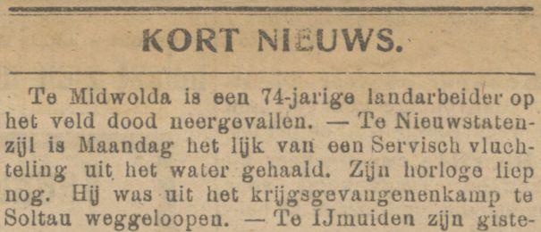 Nieuwe Veendammer courant 12 07 1917